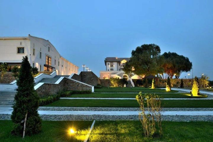 国产葡萄酒哪种比较实惠又好喝,国产葡萄酒性价比最高的一款