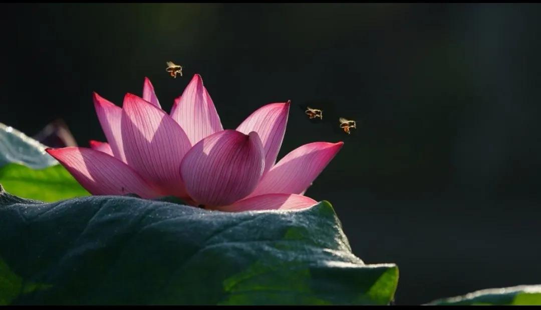 如贝口腔医院雁塔,如贝口腔医院