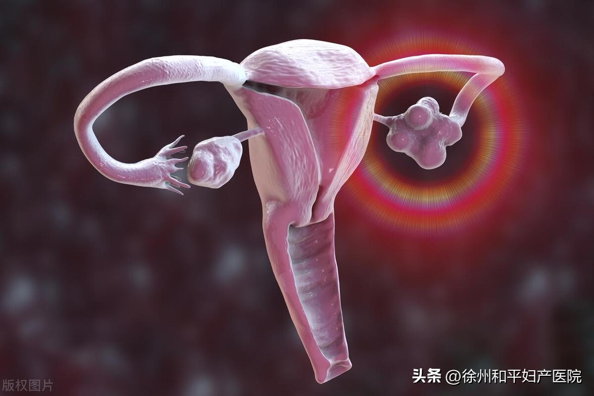 老婆检查胎儿被绿了,刚怀孕就被绿