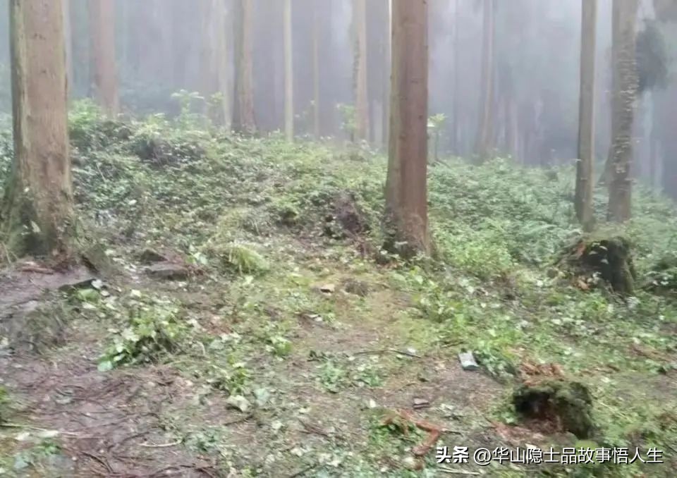 肝肠寸断撕心裂肺的视频,撕心裂肺的新闻事件