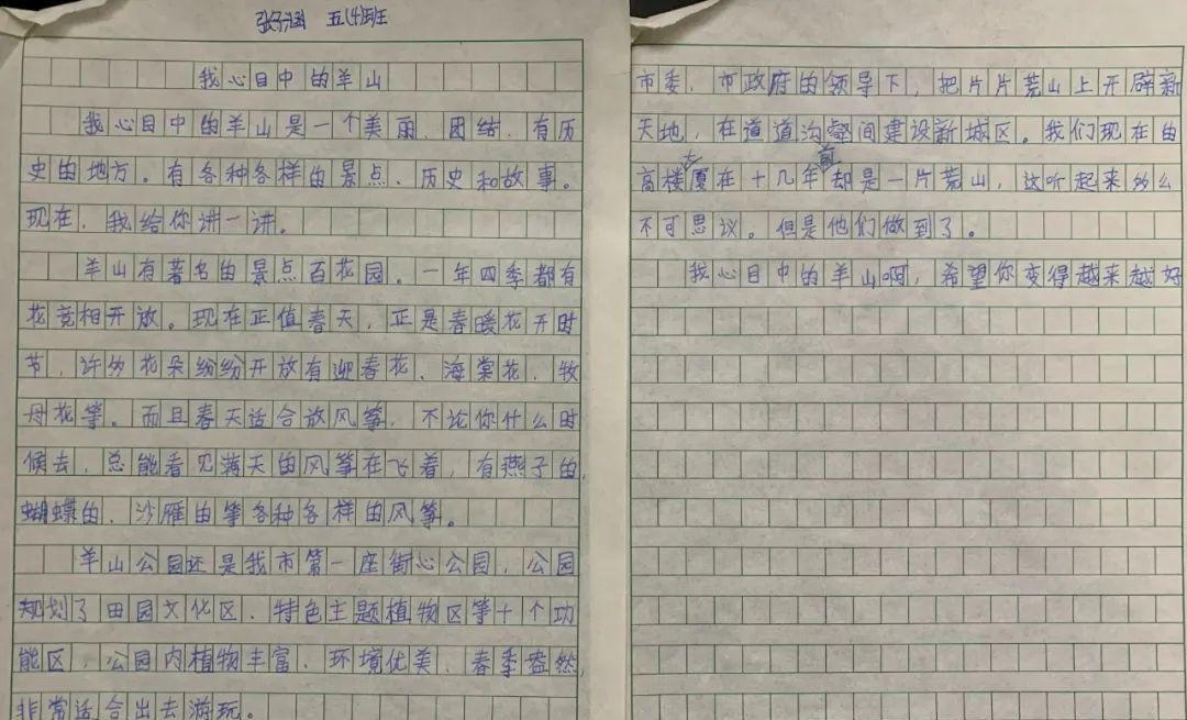 羊山新区十一小和羊山五小哪个好,羊山新区五小学校