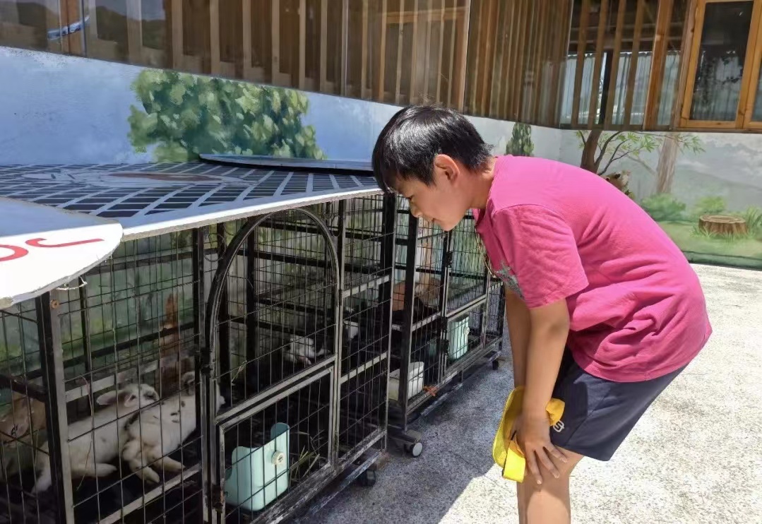 莫干山开元森泊和莫干山森泊,莫干山开元森泊2天一夜攻略