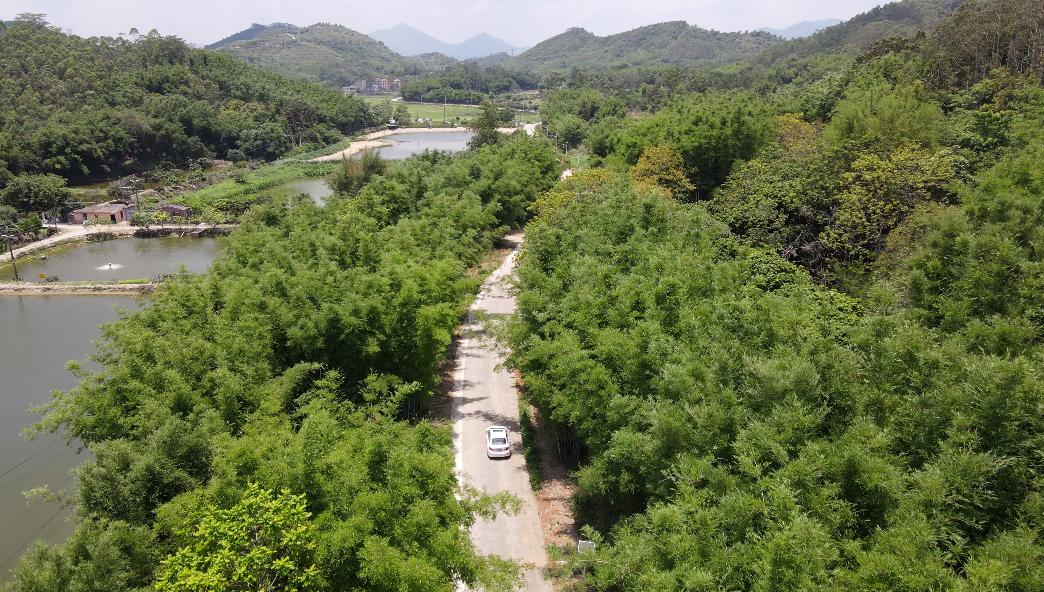 增城网红民宿别墅,增城最美花园亲子民宿