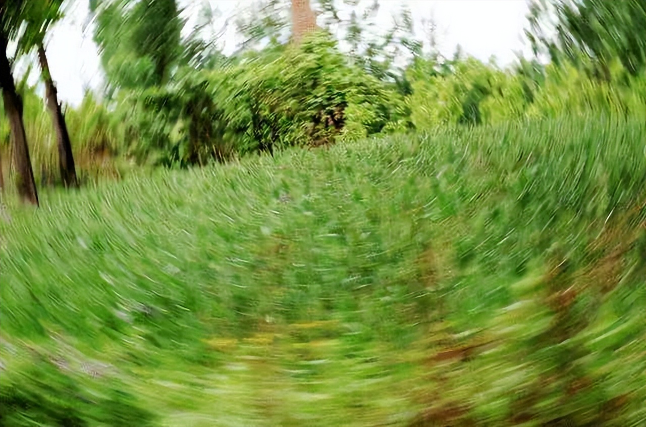 遇到“短”“动”“床”，你应该是得了耳石症——邯郸明仁医院脑病三科