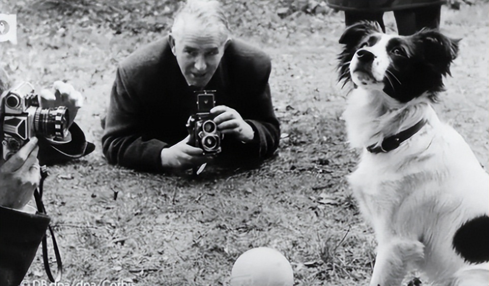 闯进球场、捡到奖杯、接受采访…汪星人和世界杯的缘分也太深了