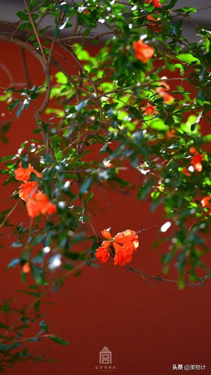 愿五月平安顺利开心,愿五月一切平安顺遂