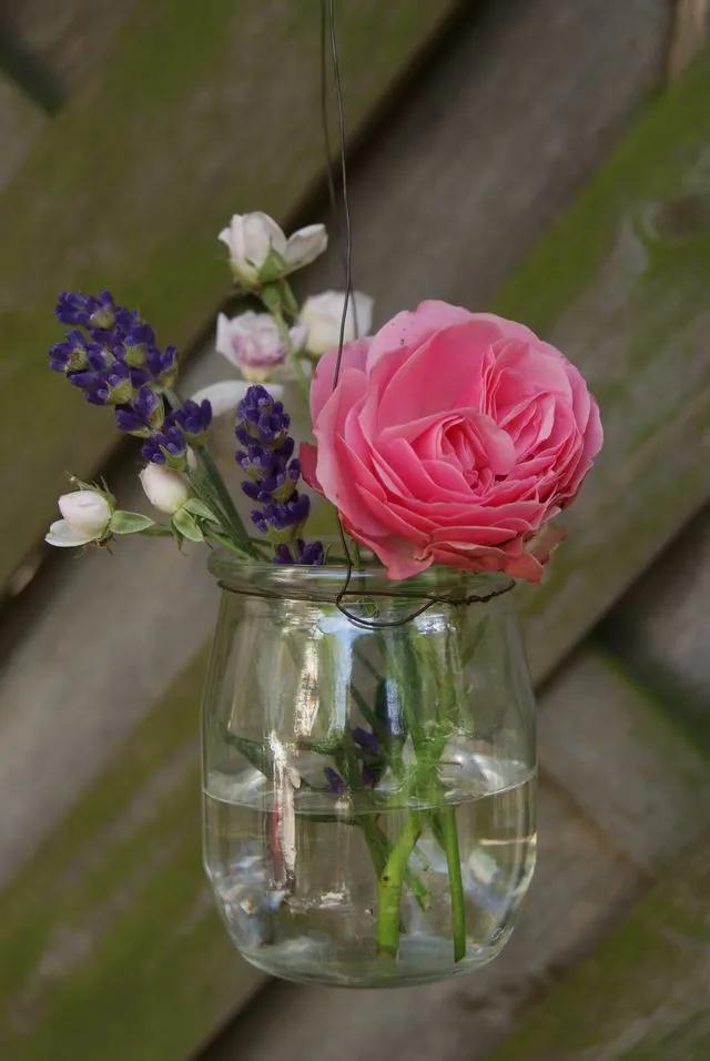 饮料瓶别再丢了,空饮料瓶别扔啦