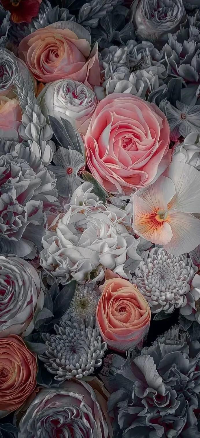 上班励志高清壁纸4k全屏电脑壁纸,黑鲨壁纸动态壁纸高清全屏90帧