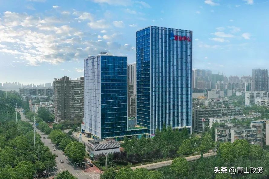 武汉民企百强一览,武汉十大民营企业排名