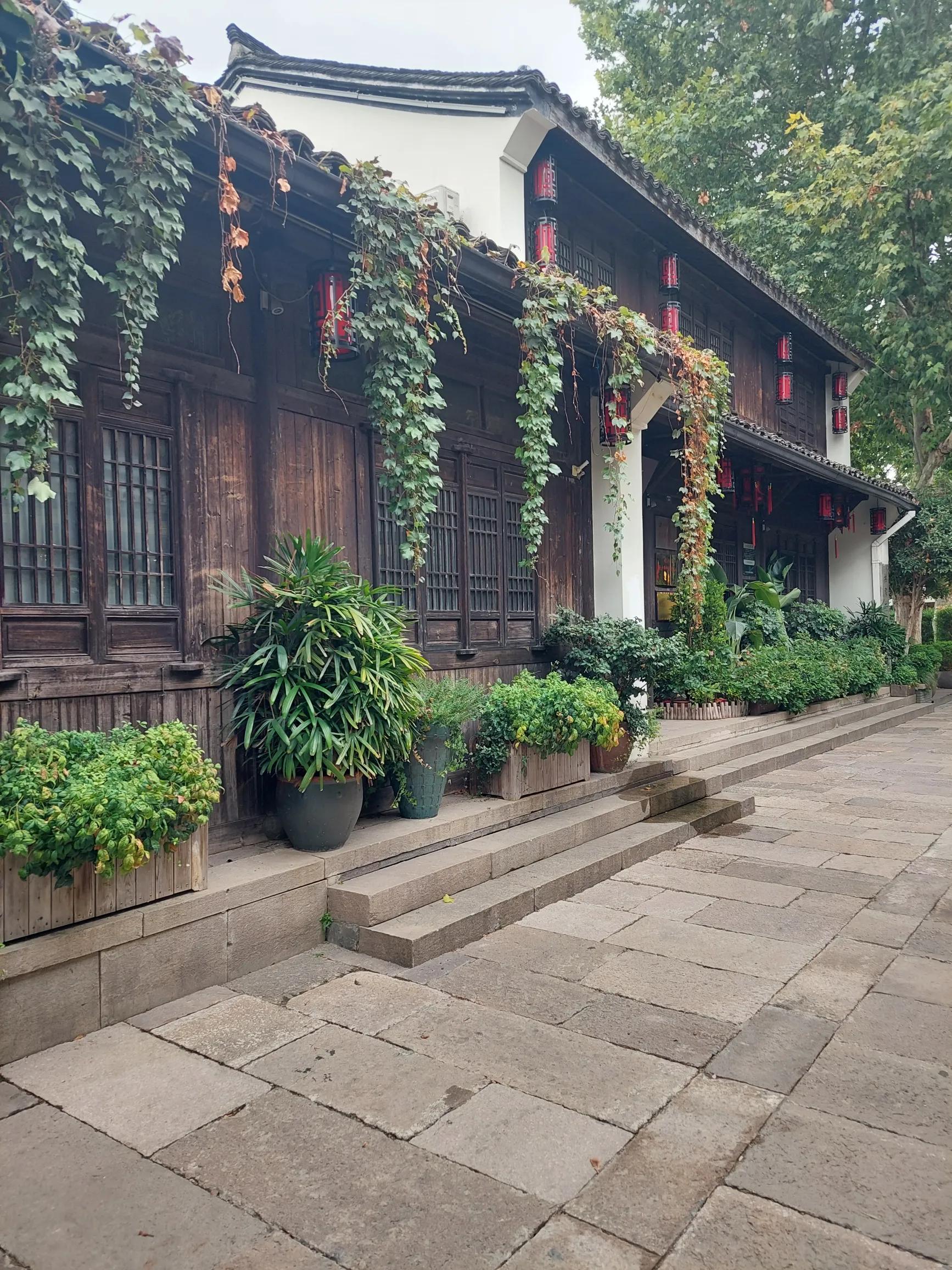 猪八戒职场生存法则,猪八戒的职场智慧