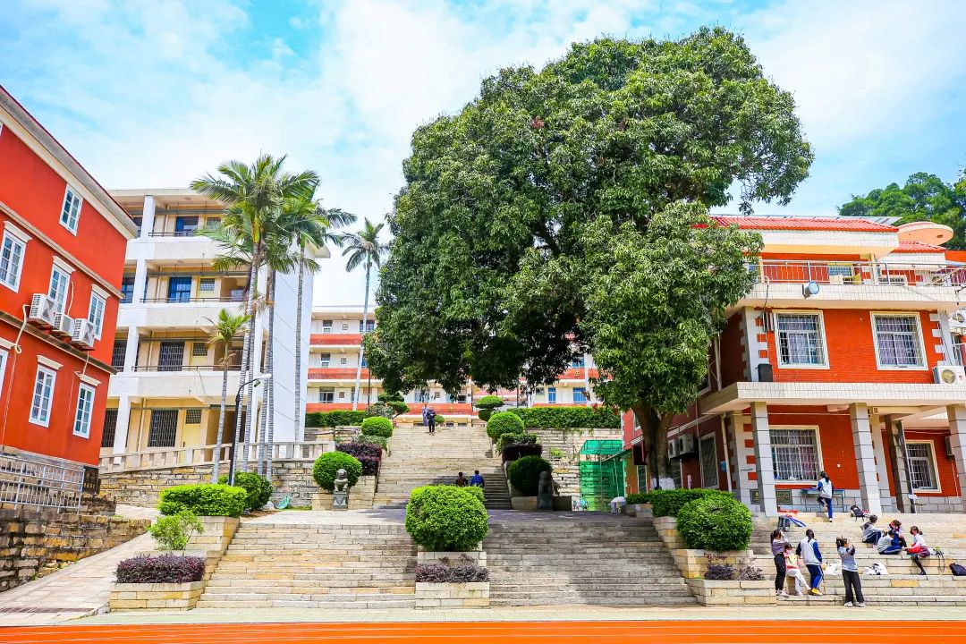 厦门二中英语实验班测试,厦门二中英语实验班考试考什么