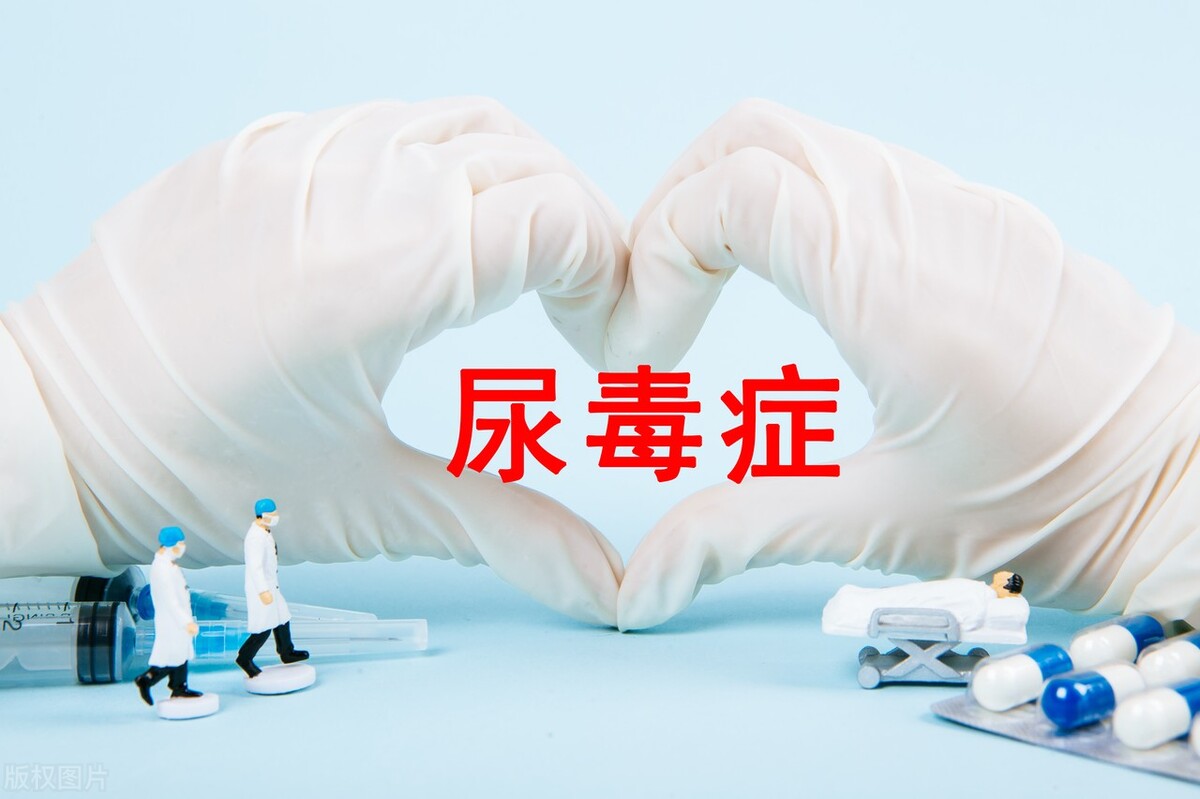 尿毒症患者皮肤瘙痒的护理ppt,尿毒症患者皮肤瘙痒应服用哪种药