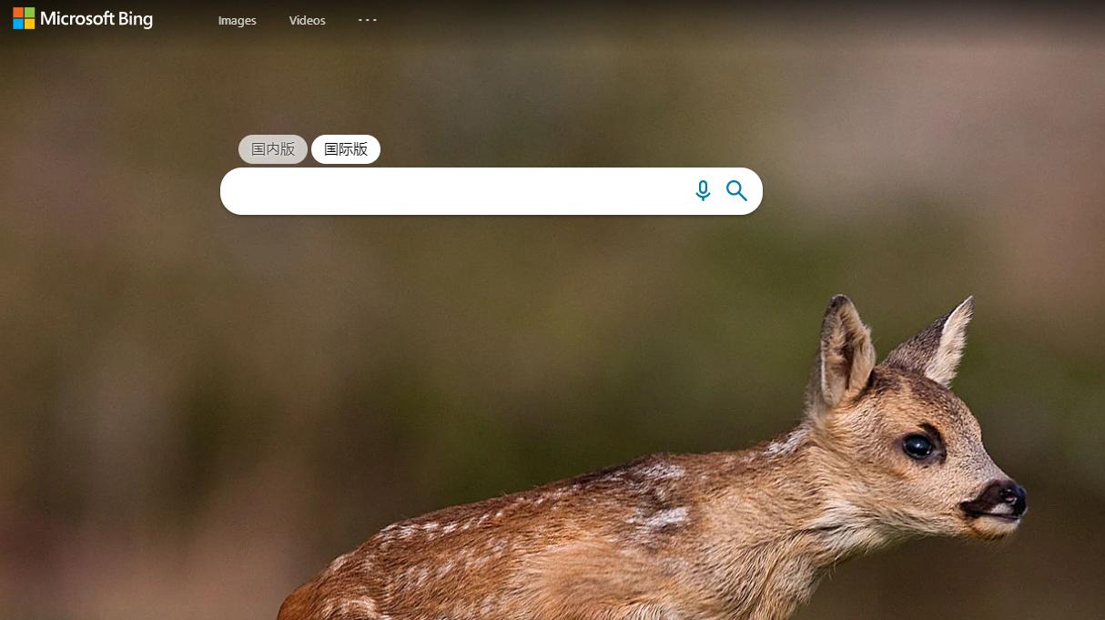 景观设计的地图都是哪里的,景观设计平面地图