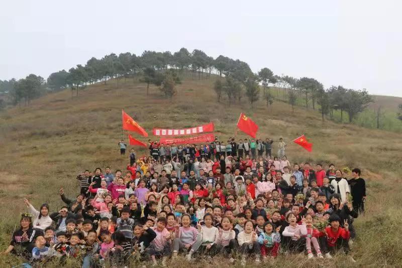 可爱的小鸭子作文带评语,可爱的小鸭子作文四年级下册语文