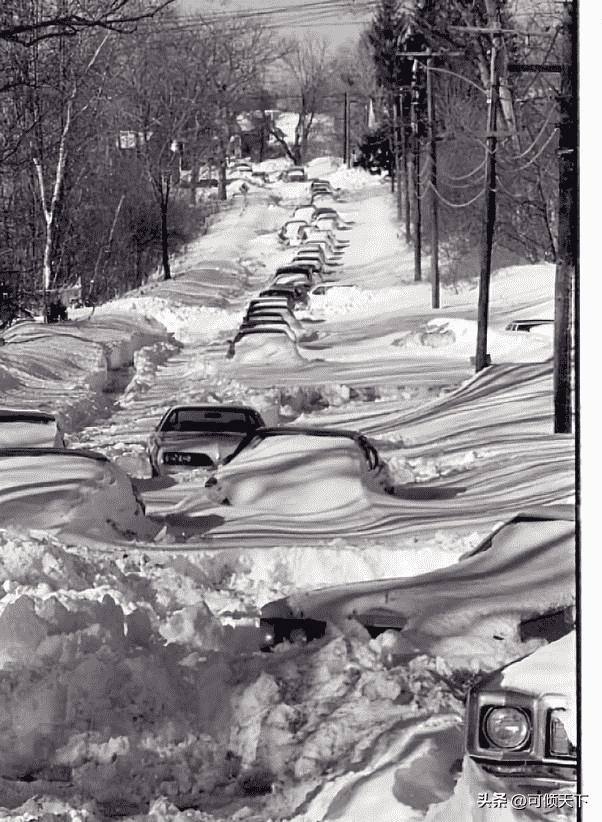 21张真实又罕见的老照片，阴毛假发工作者，我怀疑他用错地方了