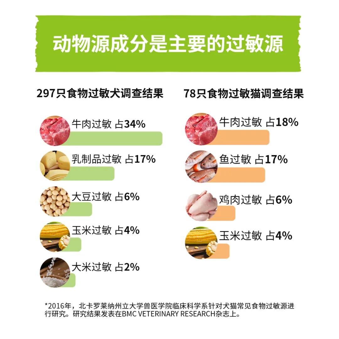 最好的进口宠粮,宠物肥胖适合吃的狗粮