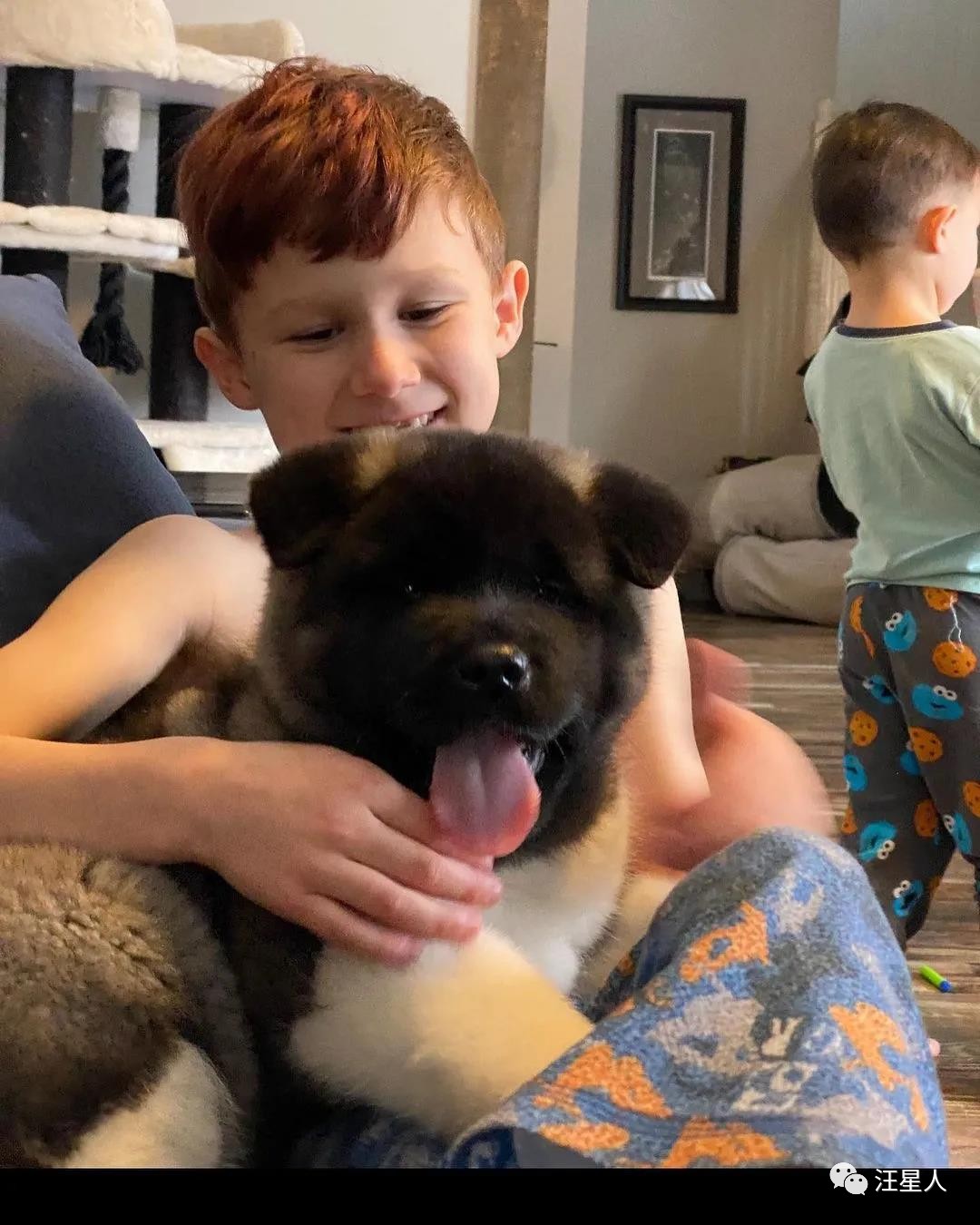 网友养了两只狗,网友养了一只特别凶狗