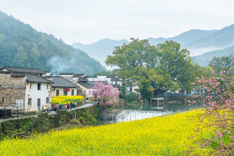 春色满园风景摄影,婺源摄影写真