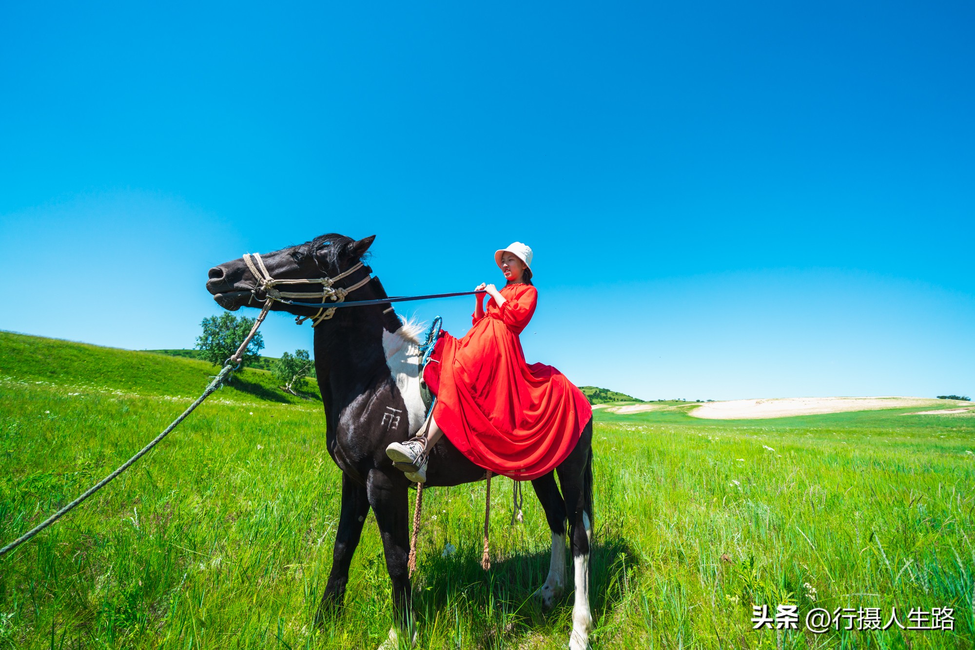 一路向北去黑龙江漠河,一路向北去寻找花海