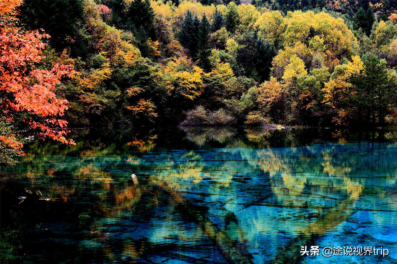 人间仙境的九寨沟,人间仙境九寨沟风景如画美不胜收