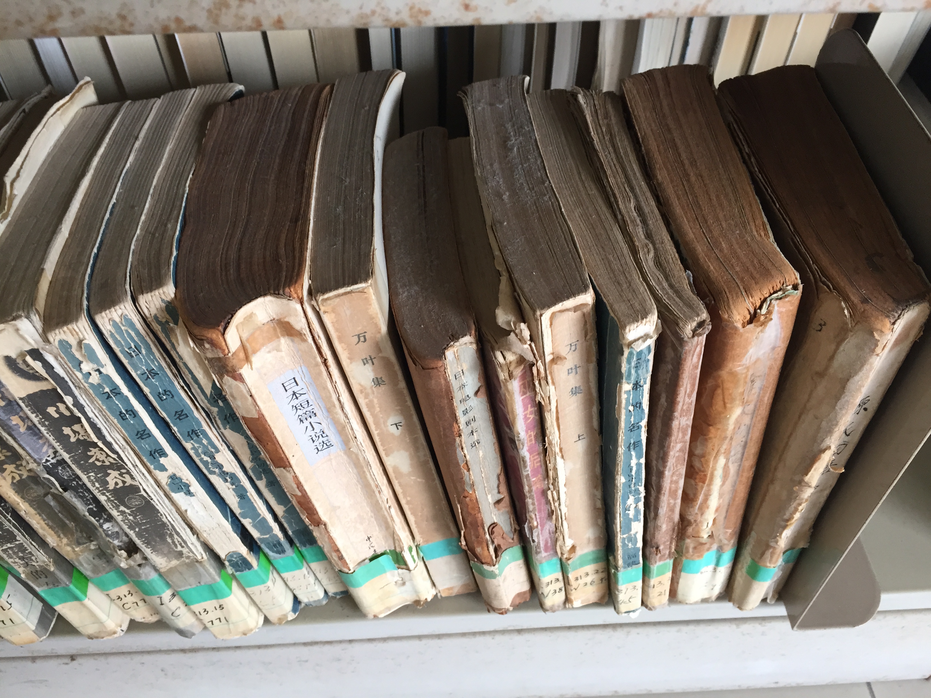 臭氧消毒对电脑有影响吗,臭氧消毒会对食品有影响吗