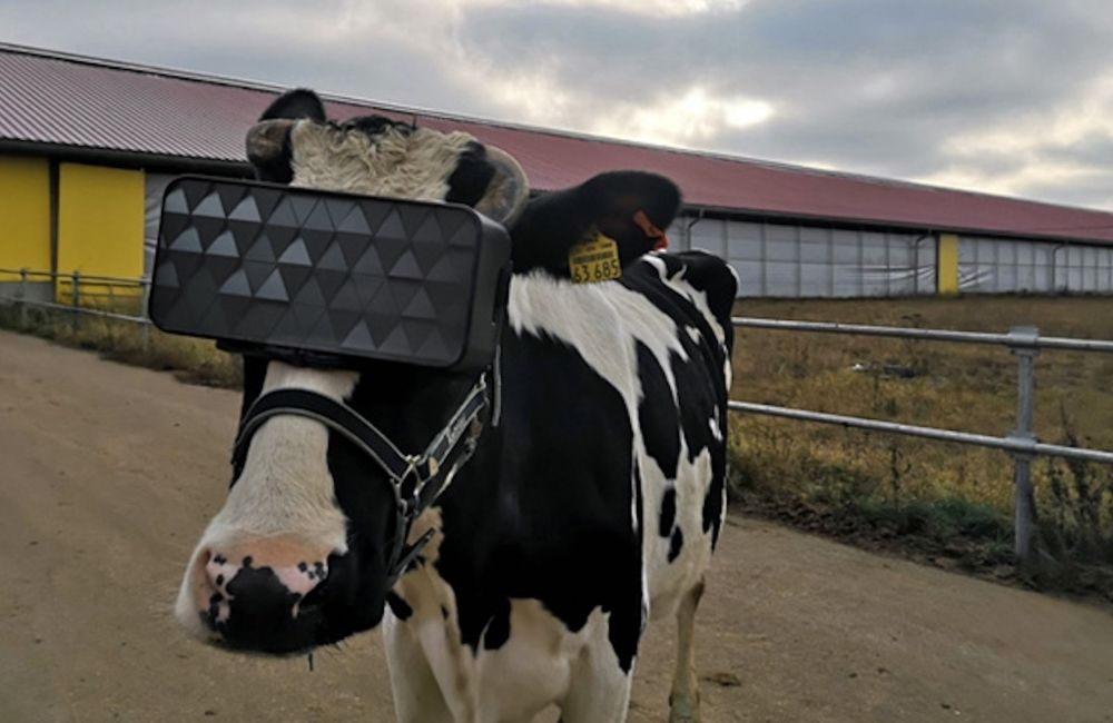 来到俄罗斯最不能错过的东西,俄罗斯的那些很奇怪的东西