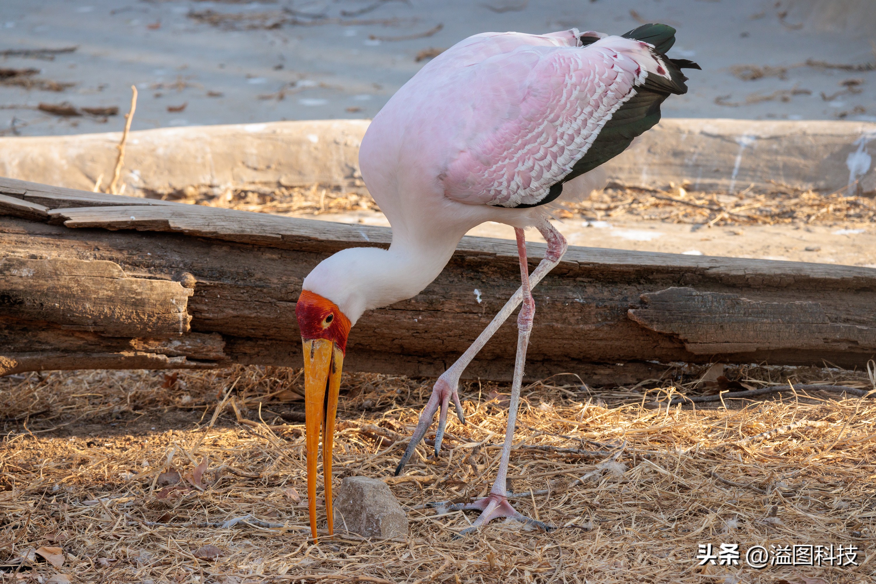 佳能rf-s55-210mm,和儿子感受大自然的气息和美景