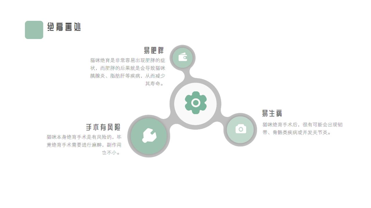 猫咪绝育的蛋蛋怎么处理,猫咪绝育蛋蛋怎么样才算恢复好了