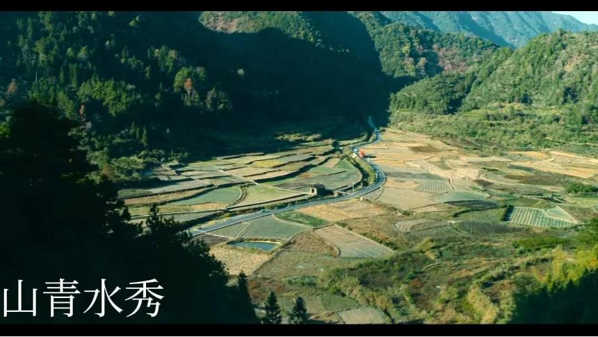 王强创业故事分享视频,嘉荫农村王强创业故事