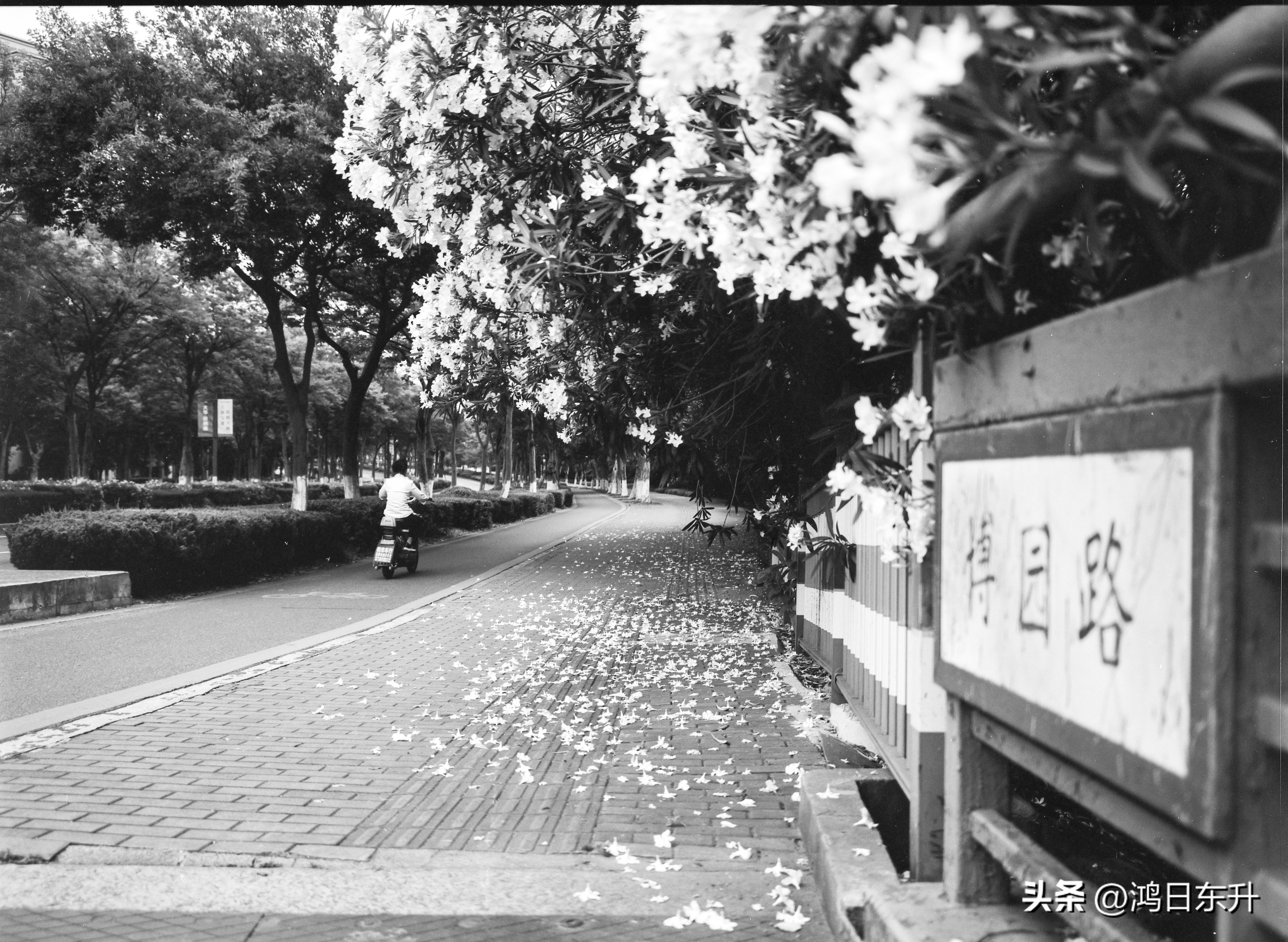 宾得645Nii老胶片相机值得拥有