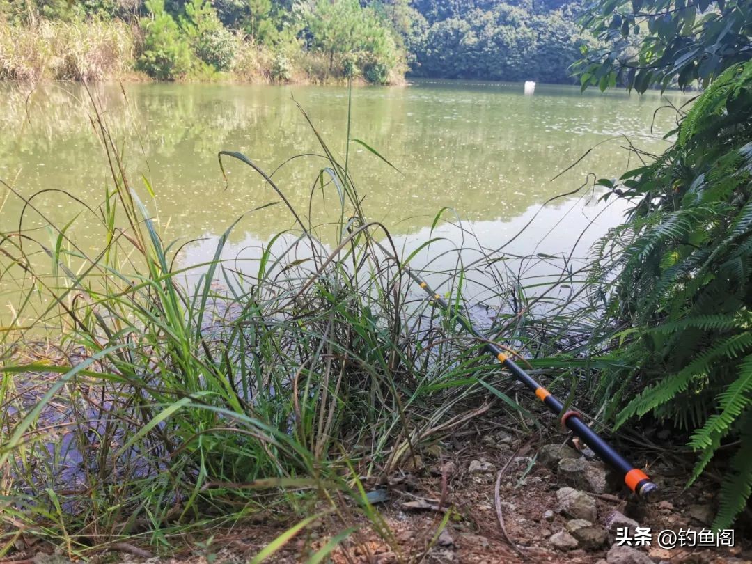 钓鲤鱼先做窝,学会这三种打窝方法,可以钓遍江河湖库