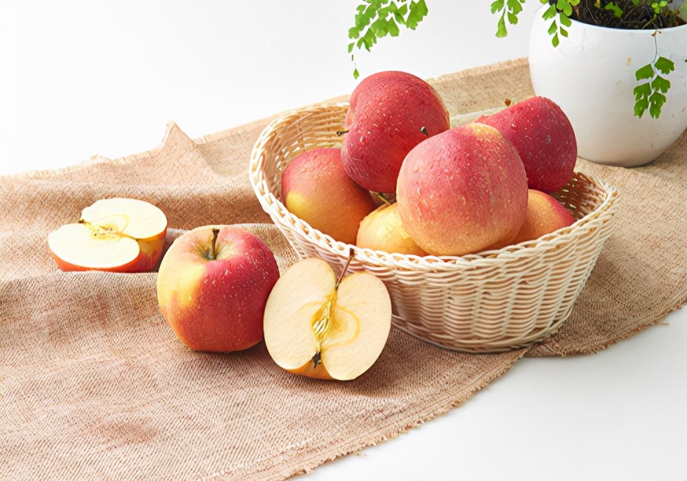 宠物仓鼠的正确饲养方法,新手养仓鼠仓鼠拉屎怎么办