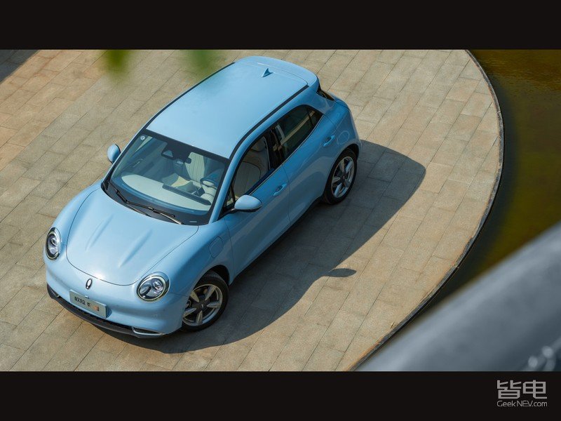 一只美貌与智慧并重的猫咪,一只靠自己找到今生铲屎官的橘猫