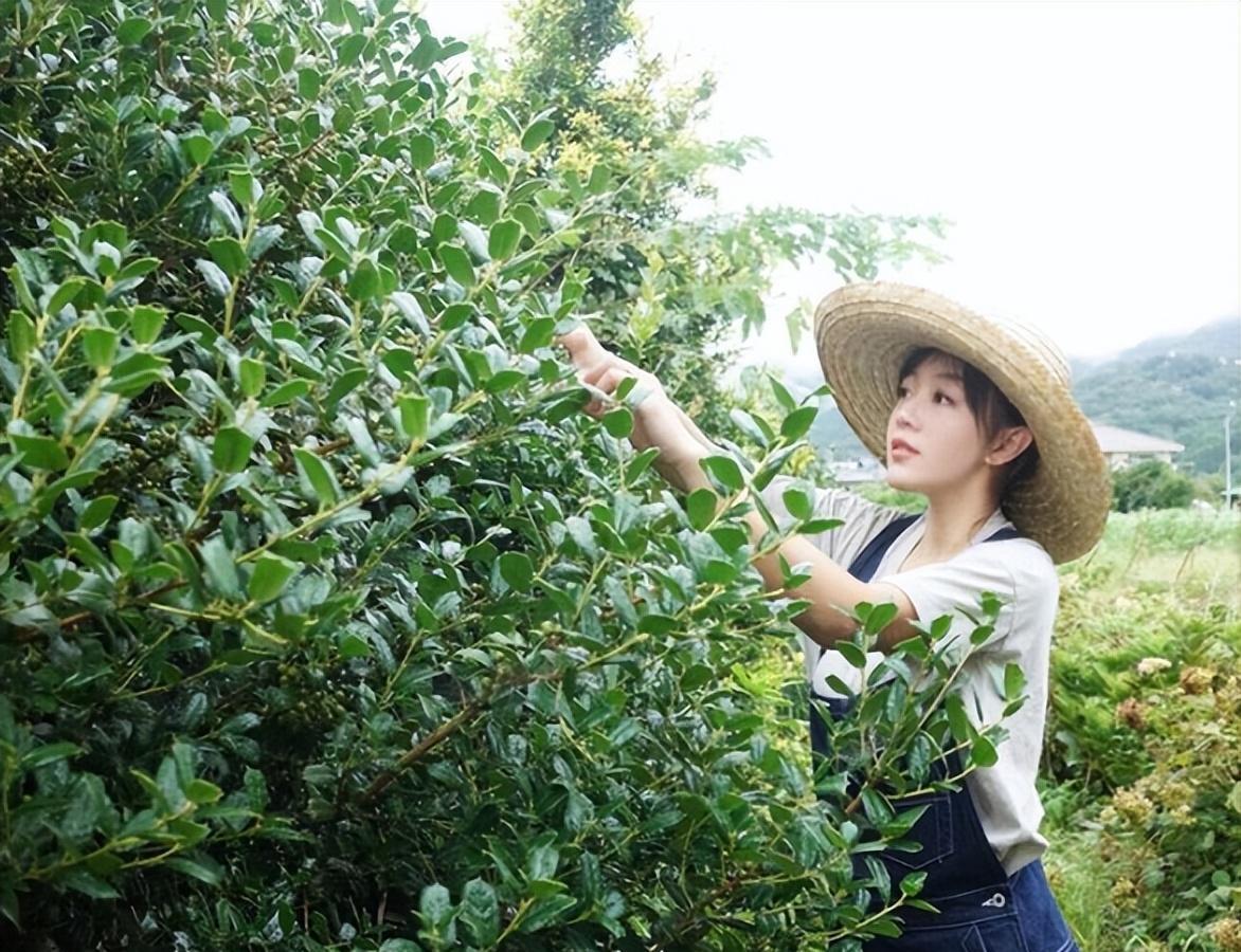 度娘素颜照,度娘现状