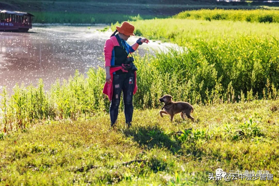 岳池旅游景点大全推荐,行走的美景
