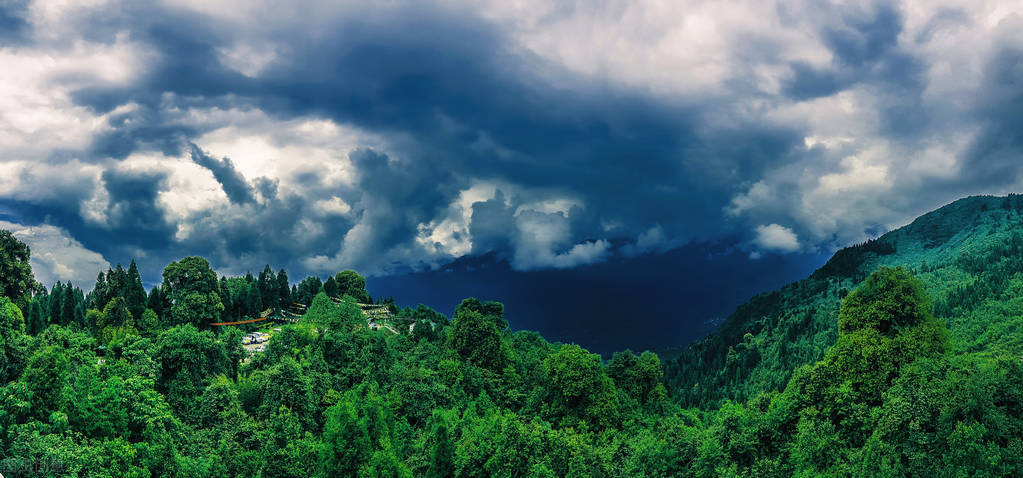 十二首诗词中的“佳人”，梅、月、荷、山，“风景四佳人”