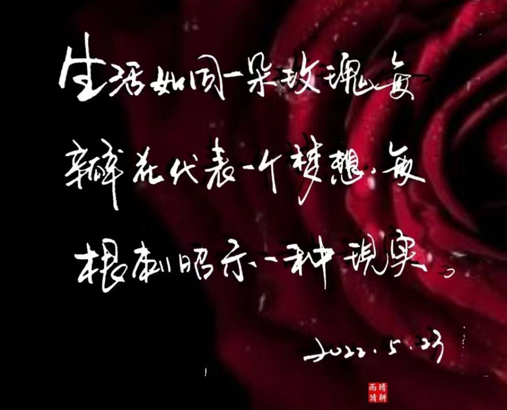 有哪些让你惊艳的句子和诗歌,你觉得最美的诗句是哪句