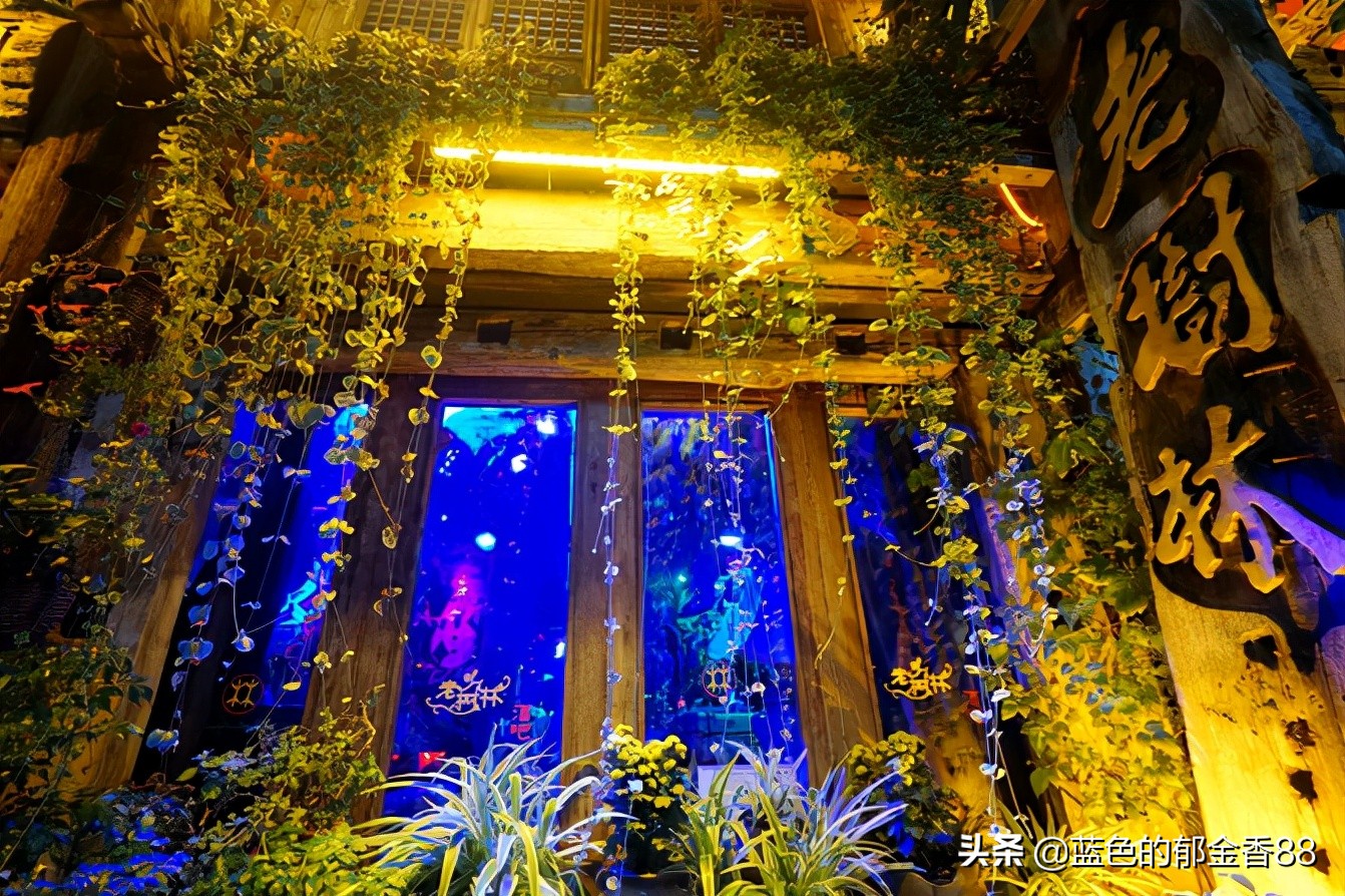 无名河我心中的伊甸园,画出我心中的伊甸园