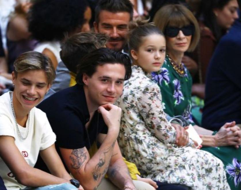 贝小七年轻时的照片,贝小七年轻时照片