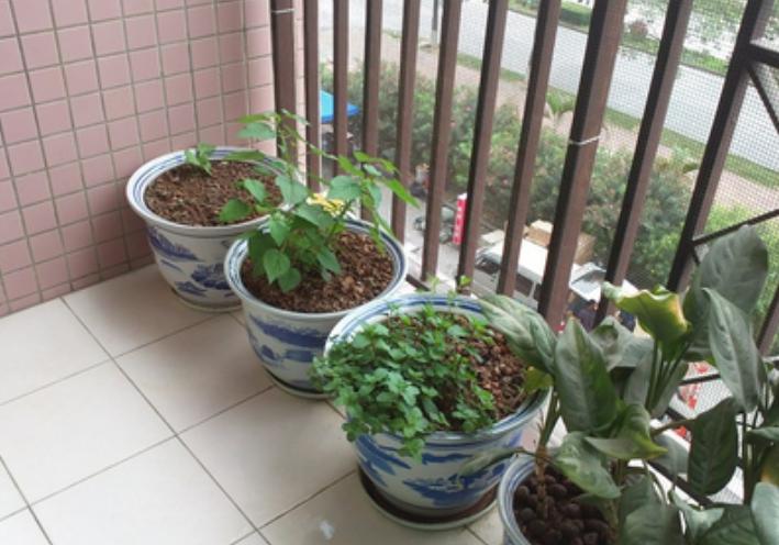 20万一平米的阳台,阳台3平方玻璃窗多少钱