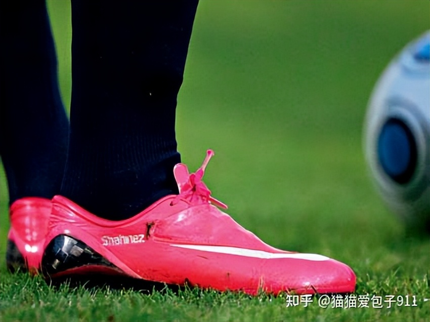 “蓝白相间，至死不移”