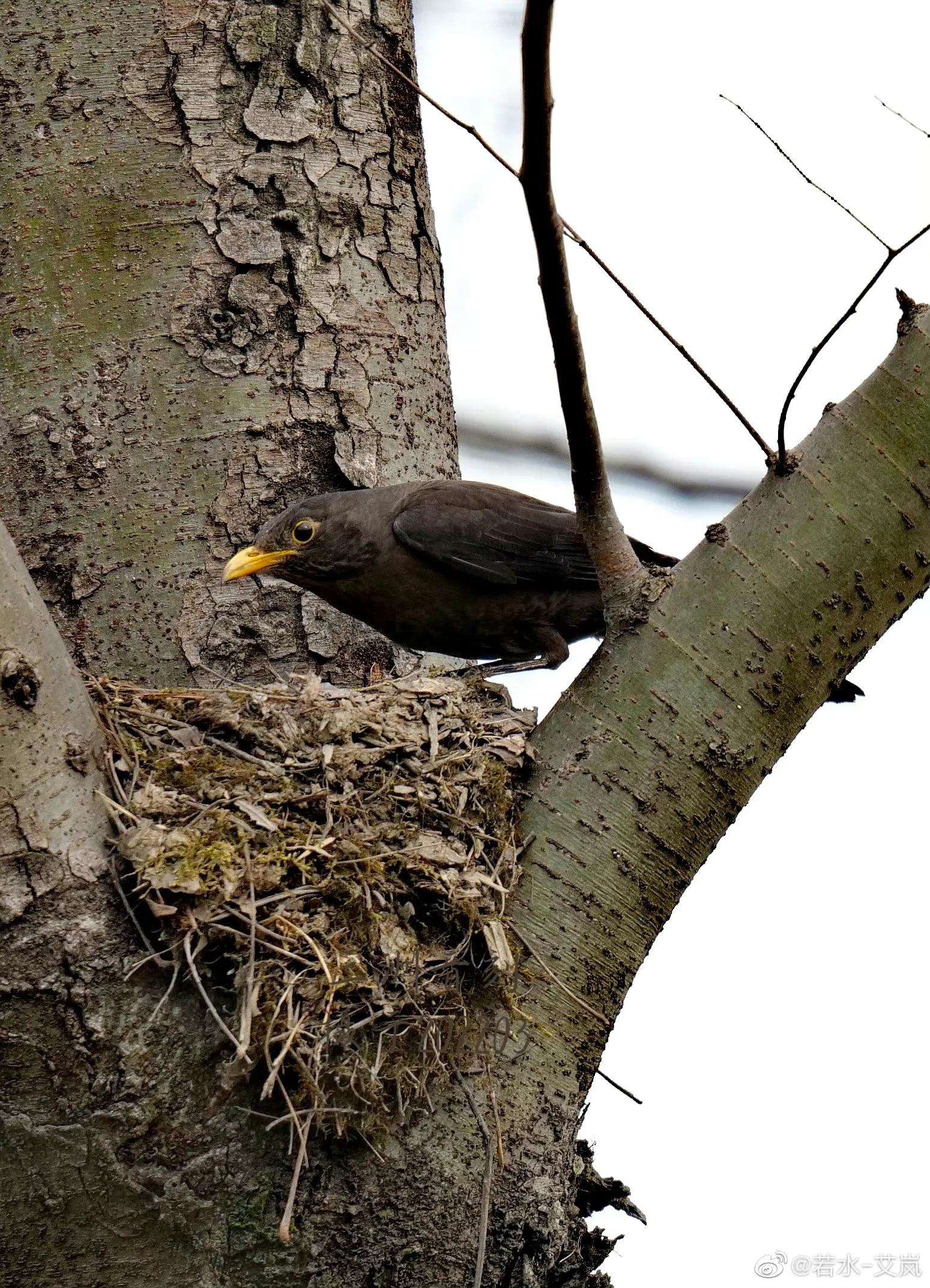 上海市嘉定区安亭国际汽车城,上海嘉定安亭国际汽车城