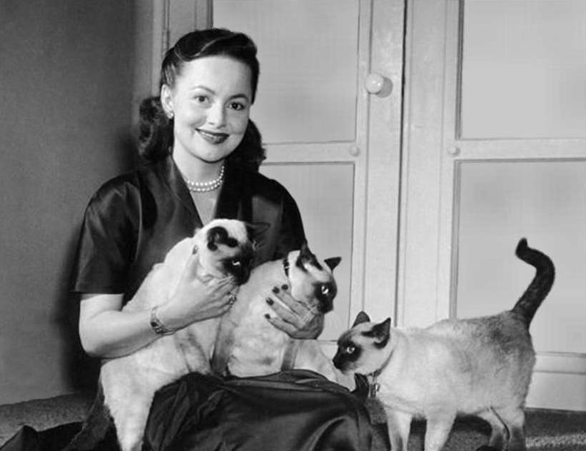 30个老照片记录女子与洋人*片鸦**烟枪下的白日梦