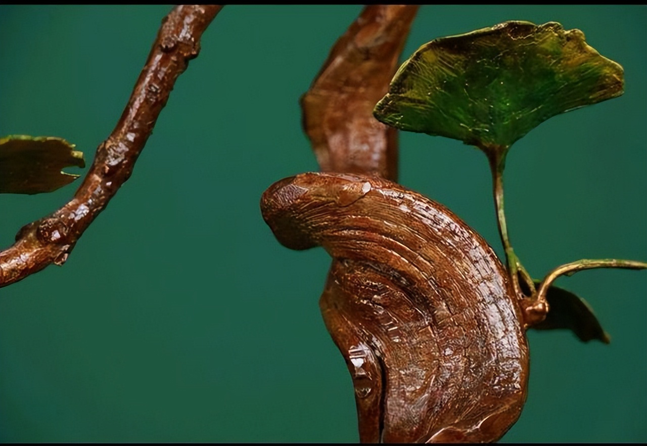 耐得住寂寞方可守得云开见月明,只有深耕者方可守得云开见月明