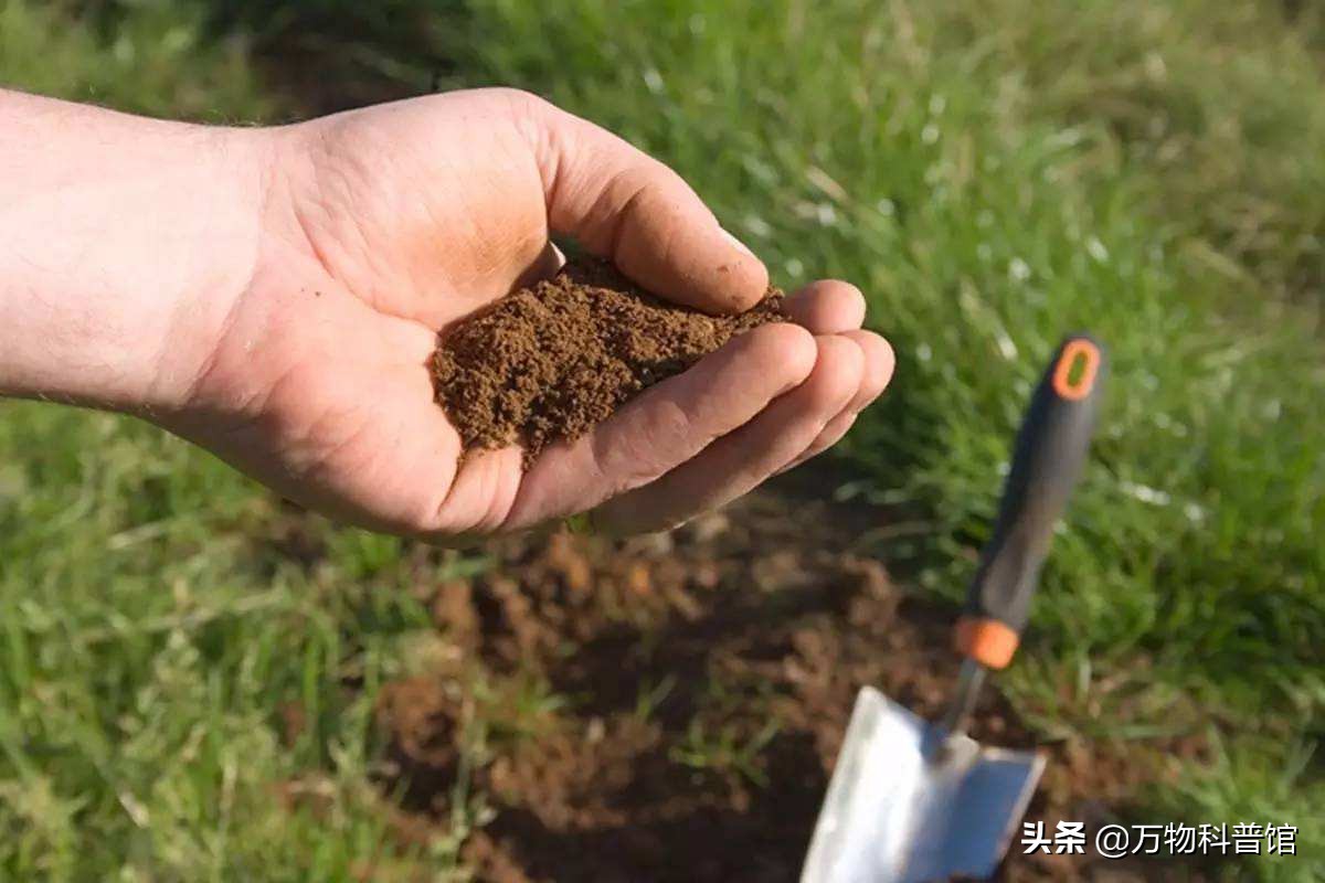 云南省关于禁止使用红砖的通告,红砖被禁止现在建房用什么砖