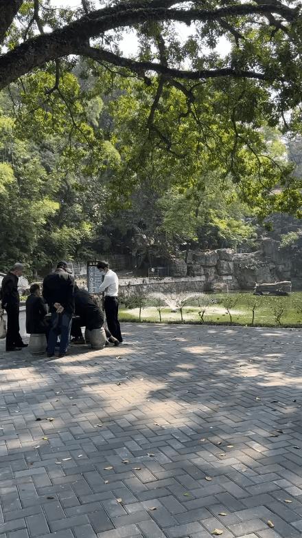 东莞人民公园真美,东莞人民公园故地重游