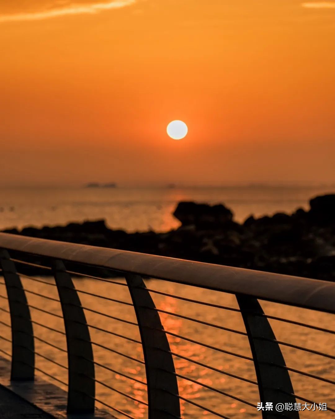 珠海为啥叫百岛之城,珠海有百岛之市的美誉东澳岛