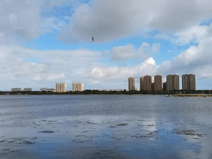 乳山二手海景房遭腰斩,花7万元到乳山银滩买了套海景房