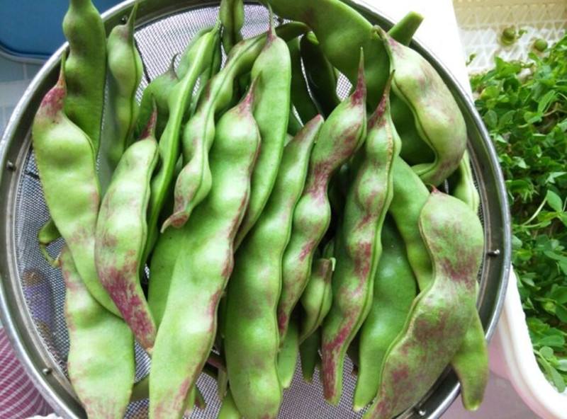 亲历：2022年第3天，我堂堂一条大汉被几口油豆角毒翻