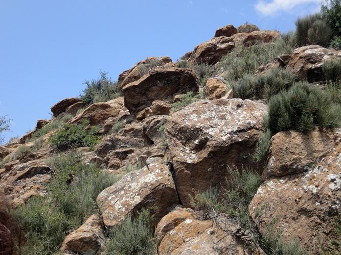 大爷挖出一个石头,老百姓挖到一块自然奇石有啥说法